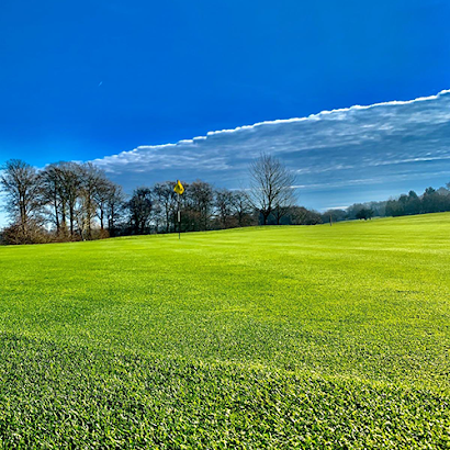 A green field with trees in the background and a yellow flag in the middle