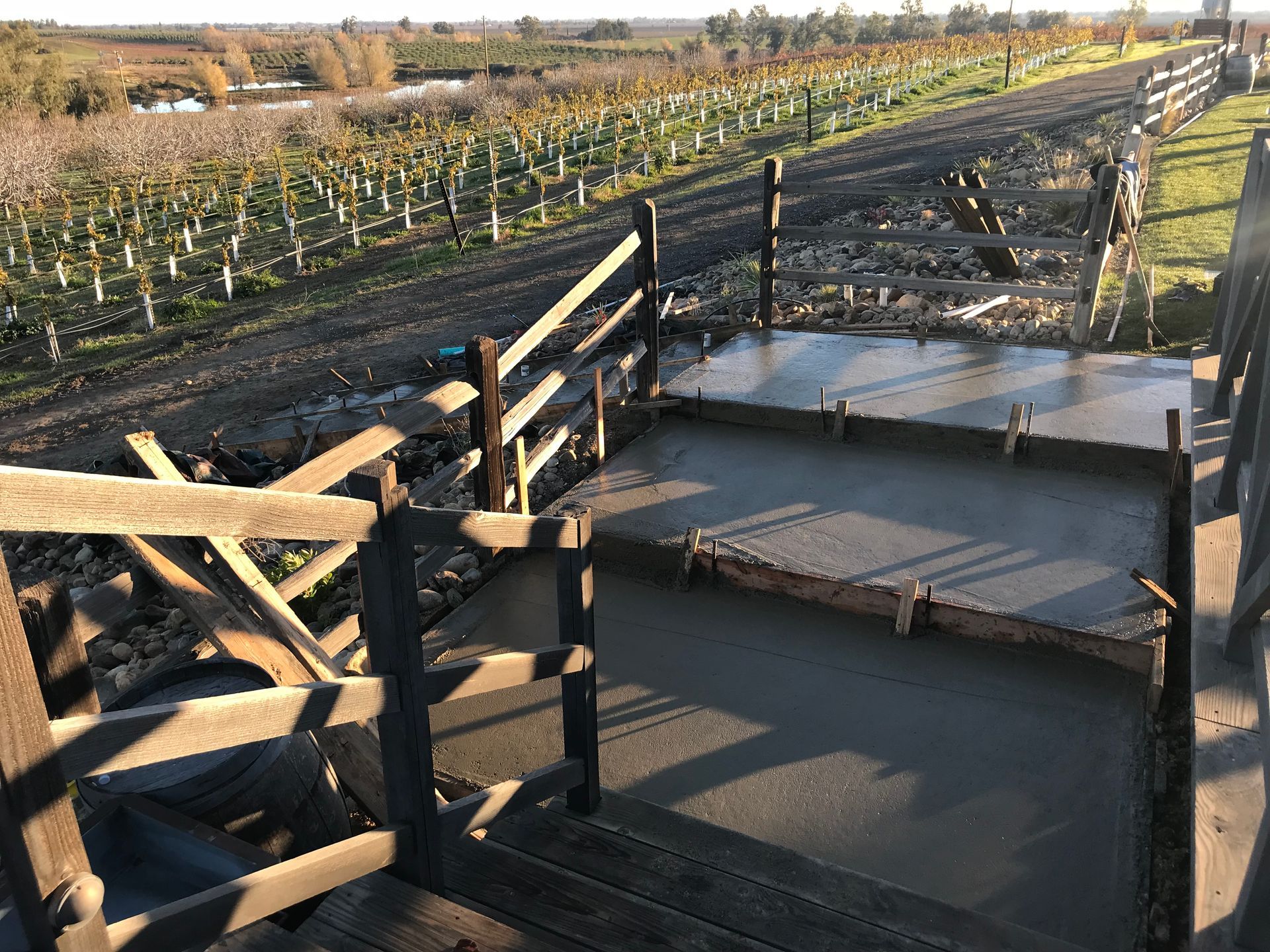 A concrete platform is being built in the middle of a vineyard.