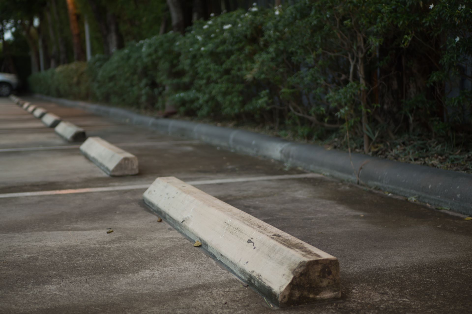 A row of concrete parking blocks in a parking lot.