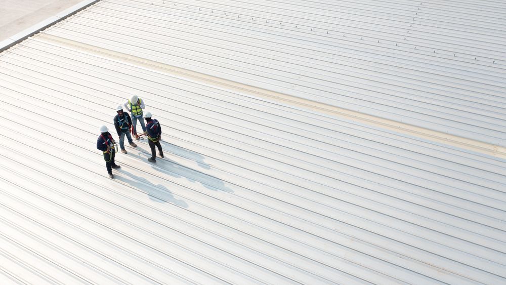 Four Workers on a White Roof, Wearing Safety Gear — C&A Roofing In Boambee East, NSW