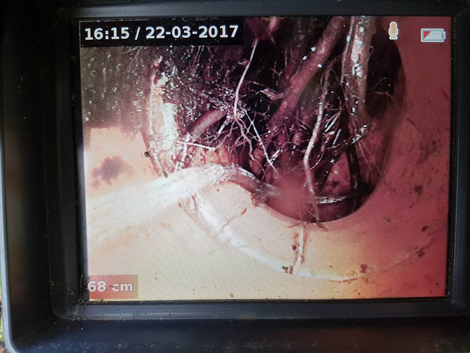 Drain Blocked With Tree Roots — Plumbers in Forster, NSW