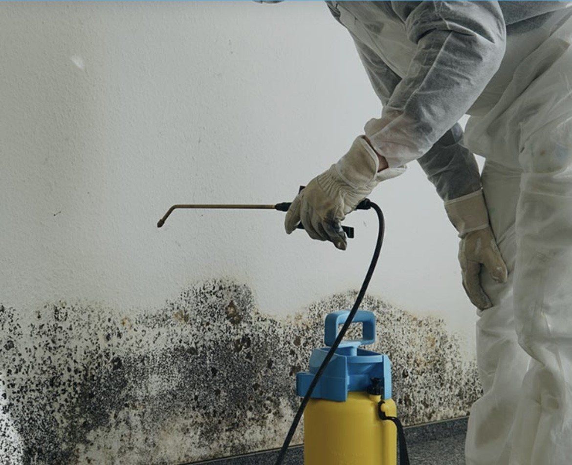 Repairing Molding  — Hopkinsville, KY — Impire Services