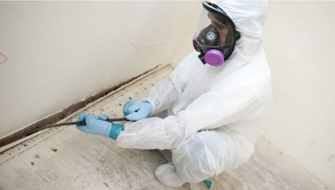 Wall Molding — Hopkinsville, KY — Impire Services