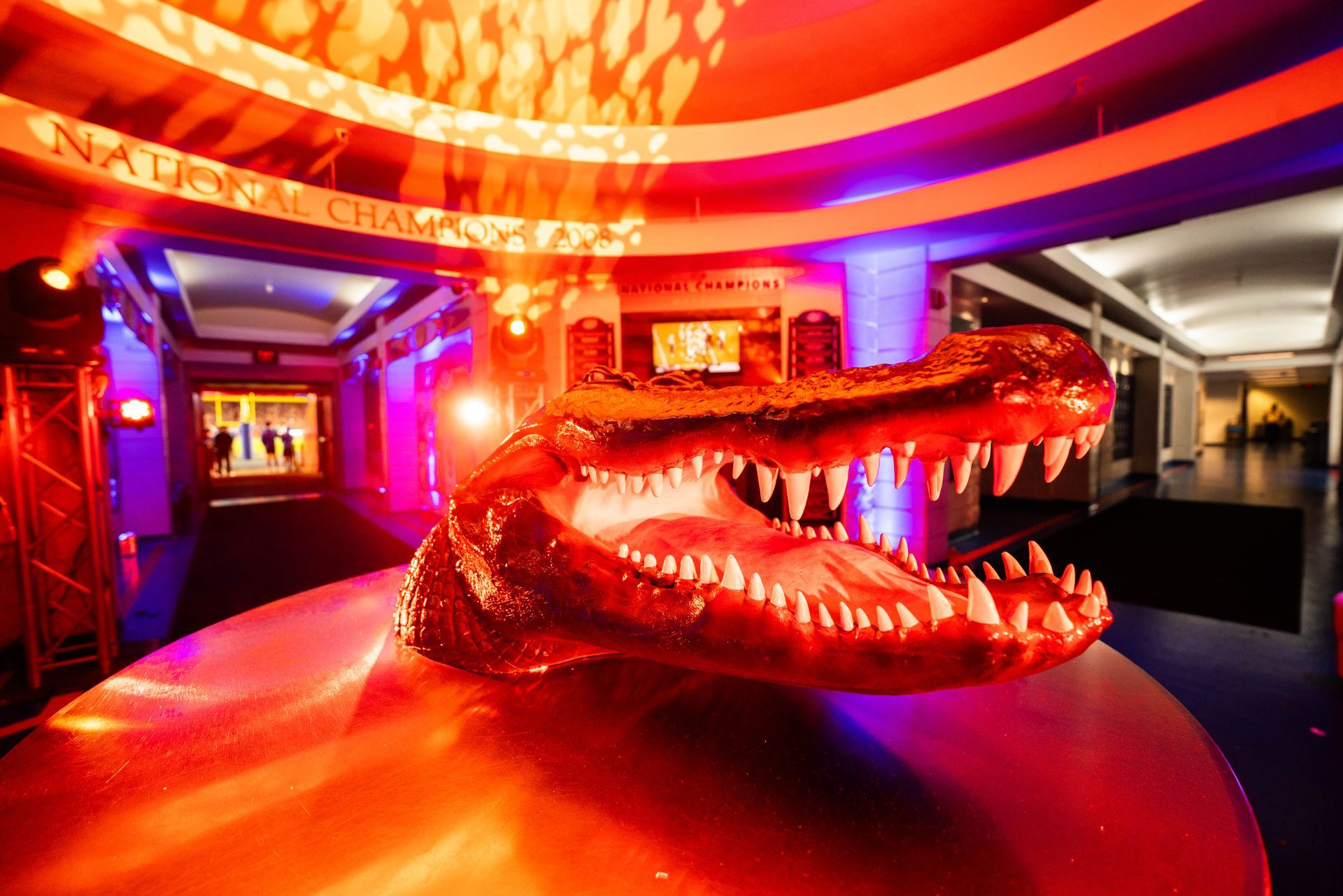 A statue of a crocodile 's head is sitting on a table in a room.