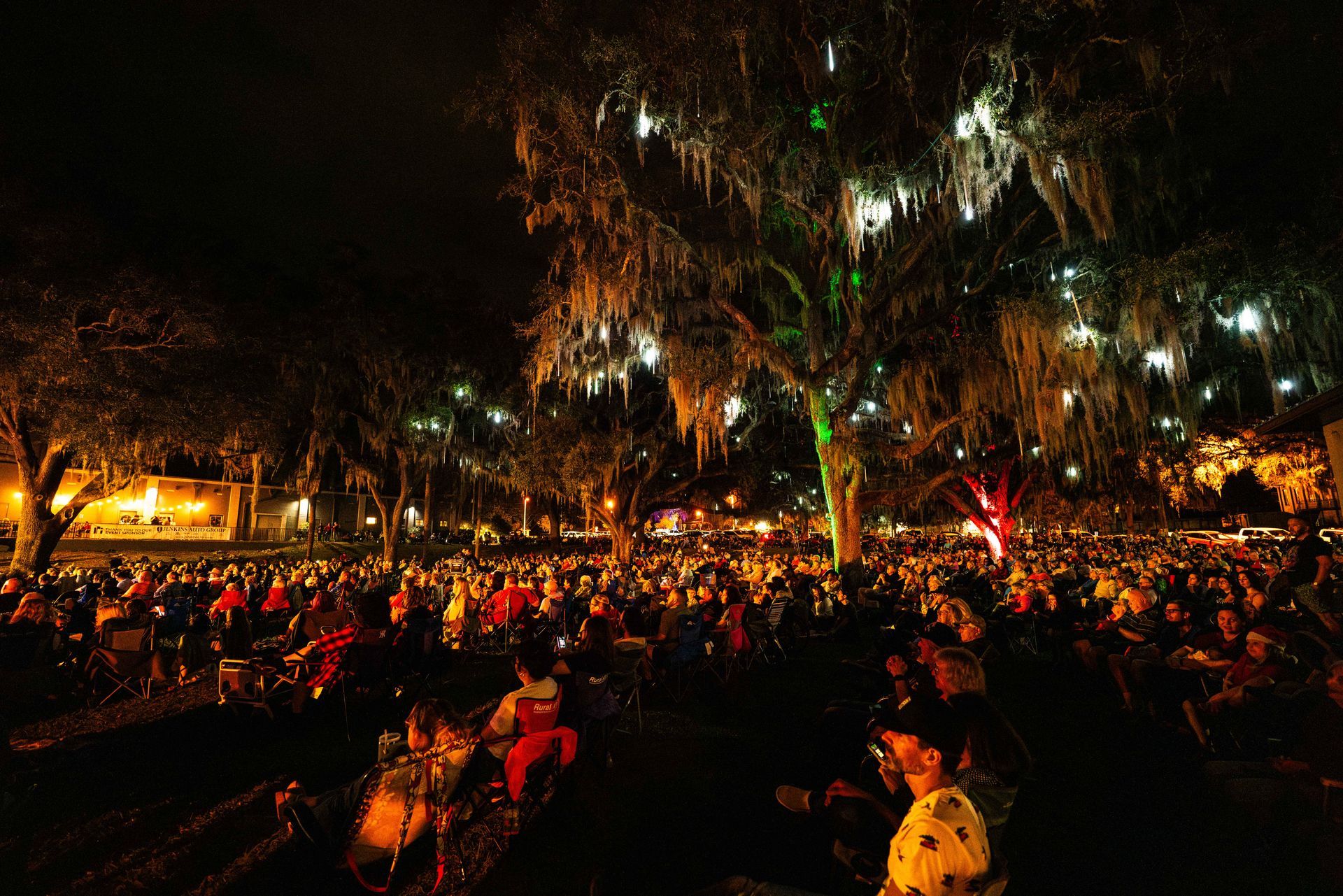 A crowd of people are sitting under a tree at night.