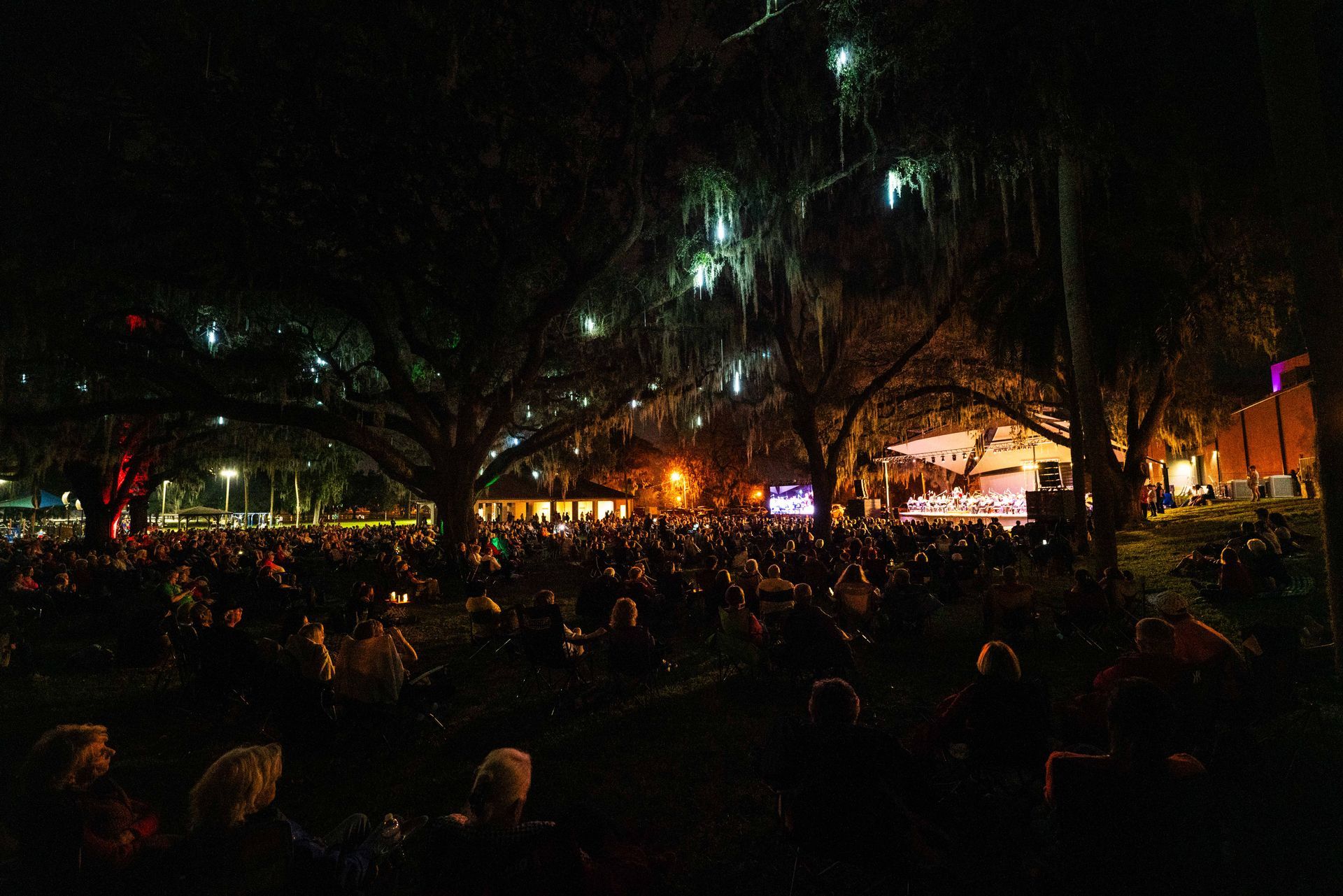 A crowd of people are sitting in a park at night watching a concert.