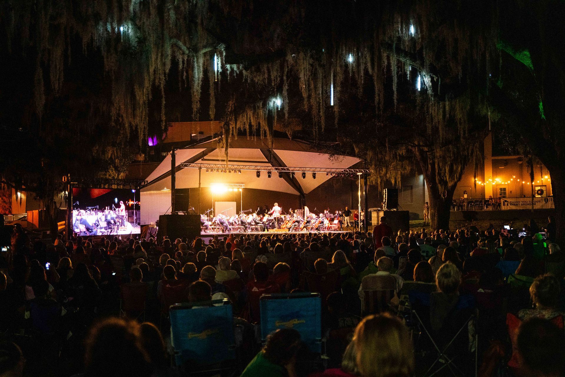 A crowd of people watching a concert in a park at night