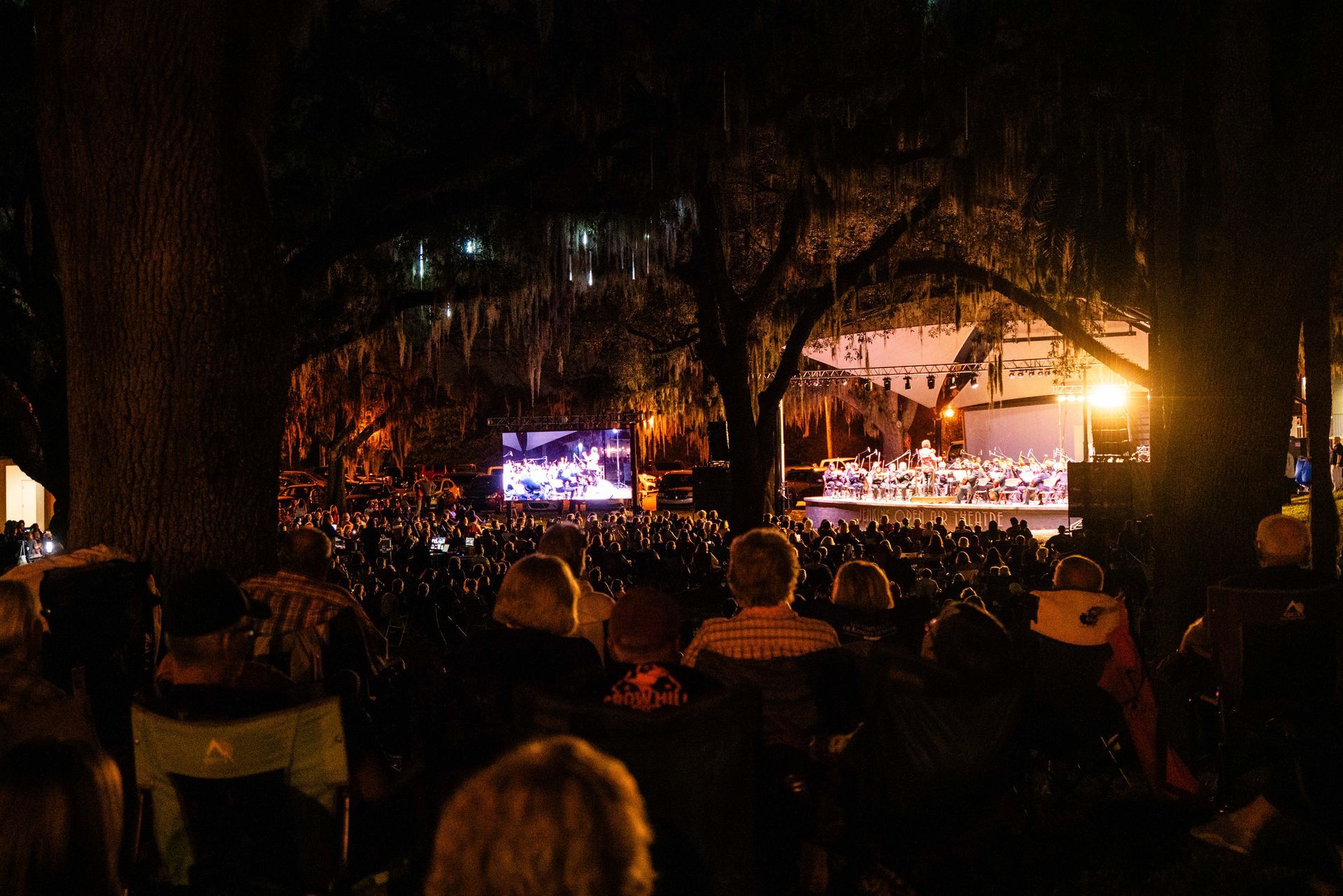 A crowd of people are sitting under a tree watching a concert.
