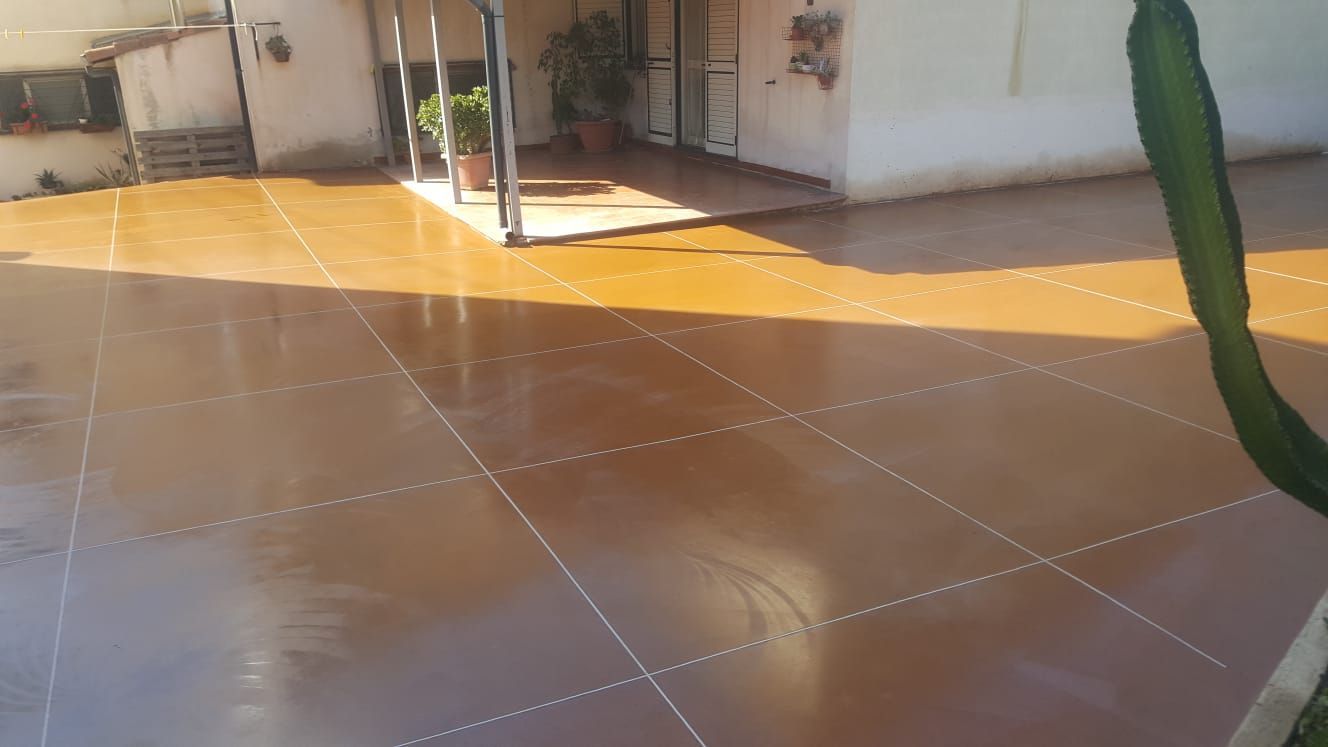 Un patio con un cactus in primo piano e una casa sullo sfondo