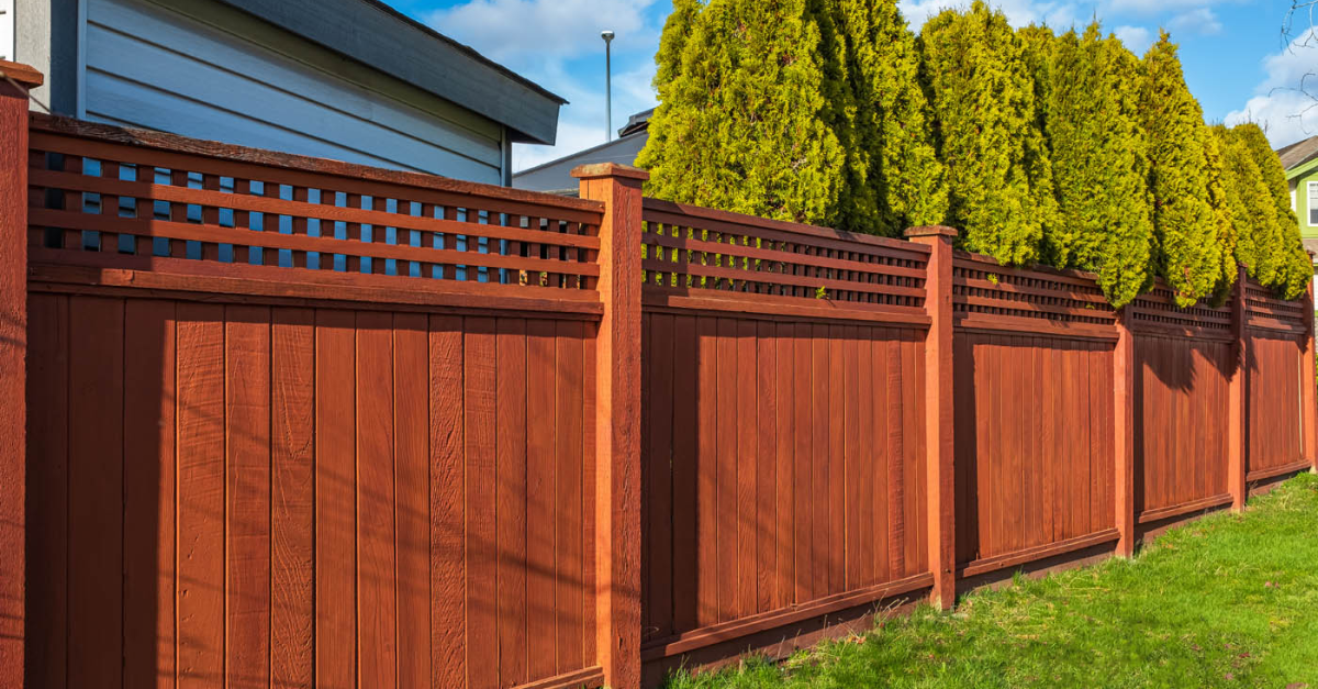 Brown wooden fence with lattice top, green grass, and evergreen trees.