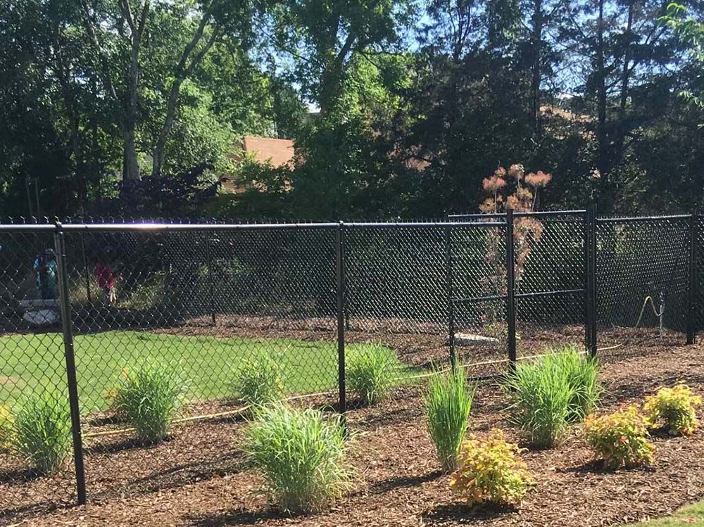 A chain link fence surrounds a lush green field with trees in the background.