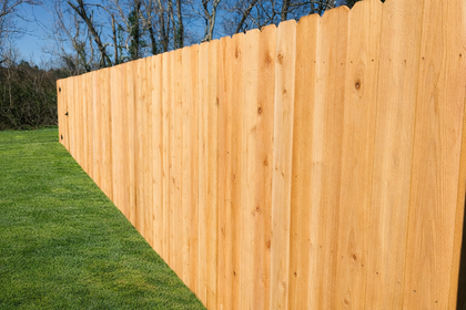 Wooden fence in yard of green grass, with blue sky in background.