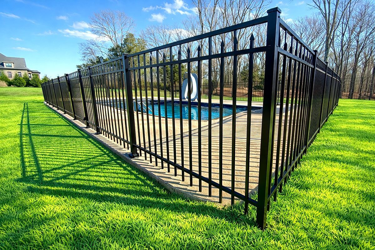 Black metal fence surrounding a blue pool in a green grassy yard.