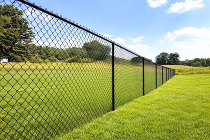 Black chain-link fence bordering a grassy field under a blue sky.