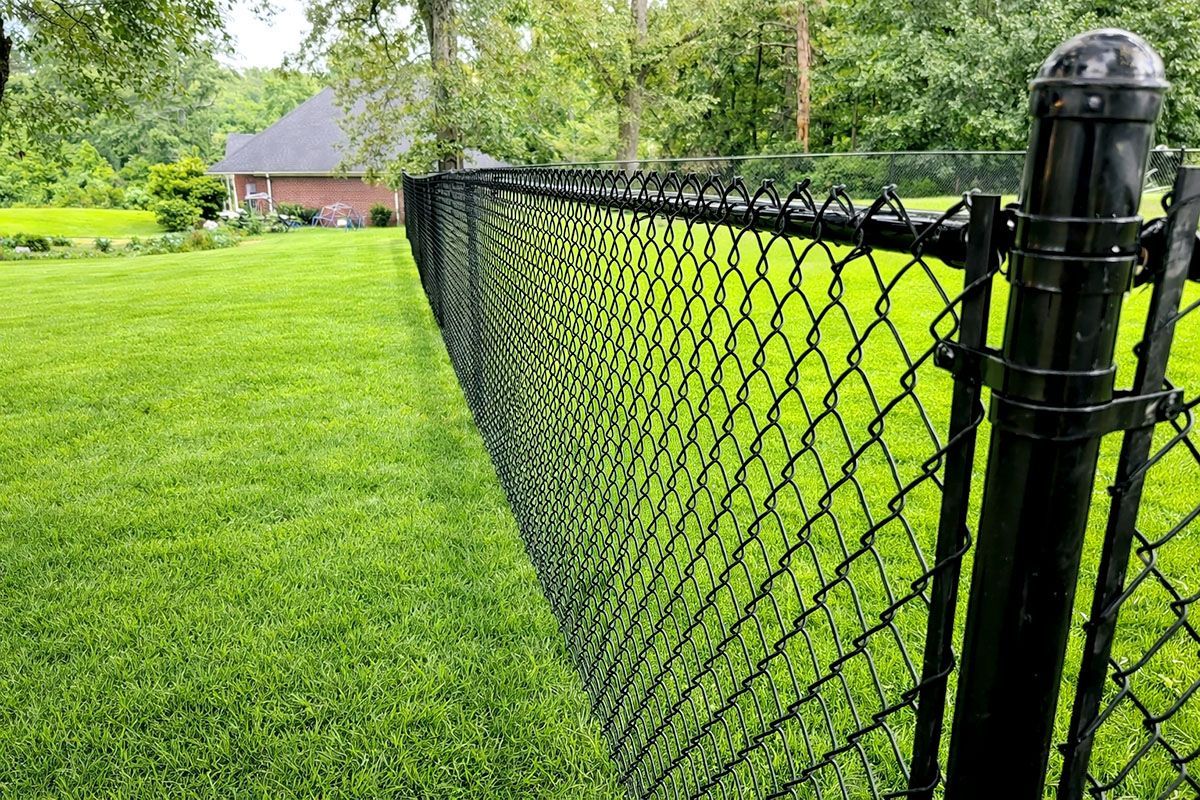 Black chain-link fence in lush green grass, with trees and a house in the background.