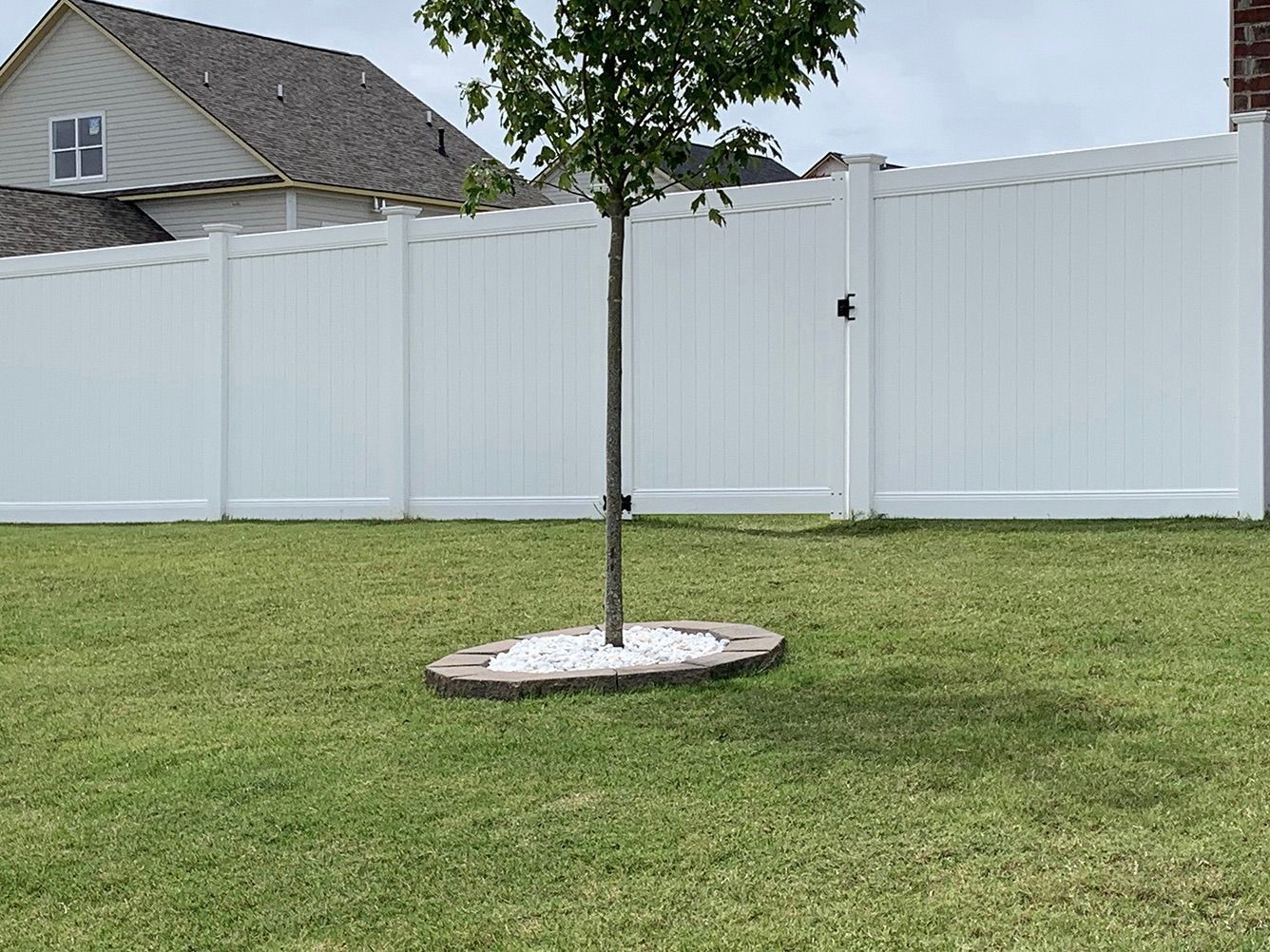 A tree in a yard with a white fence in the background.