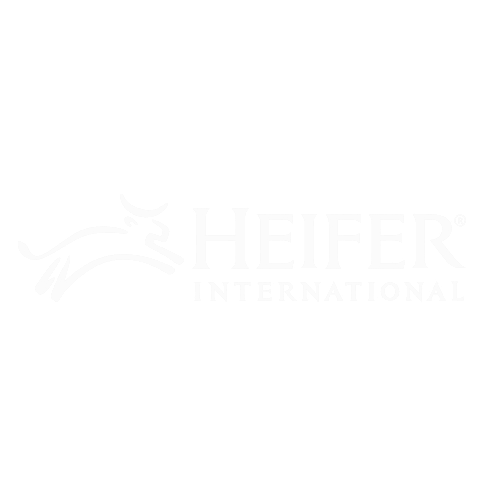 heifer int
