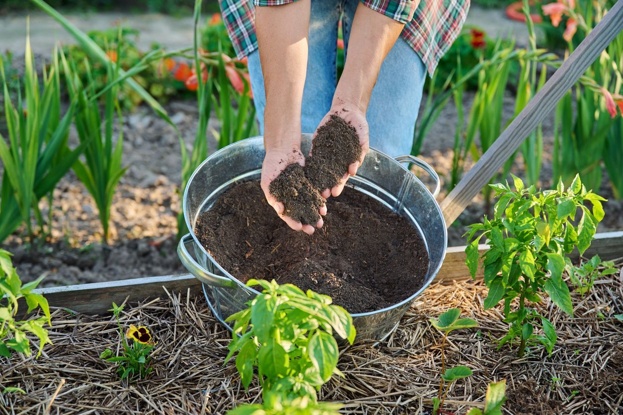 Two hands holding compost from a metal bucket in a garden.