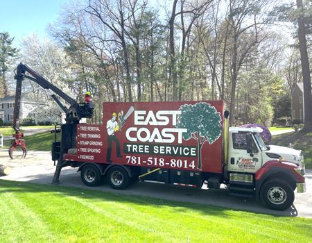 A red east coast tree service truck is parked on the side of the road.