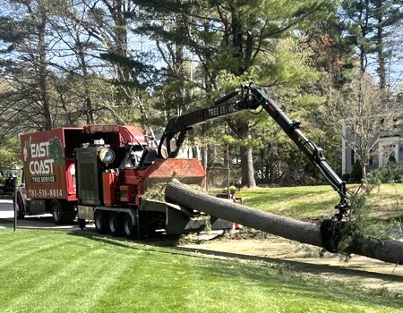 A tree chipper is cutting down a tree in a yard.