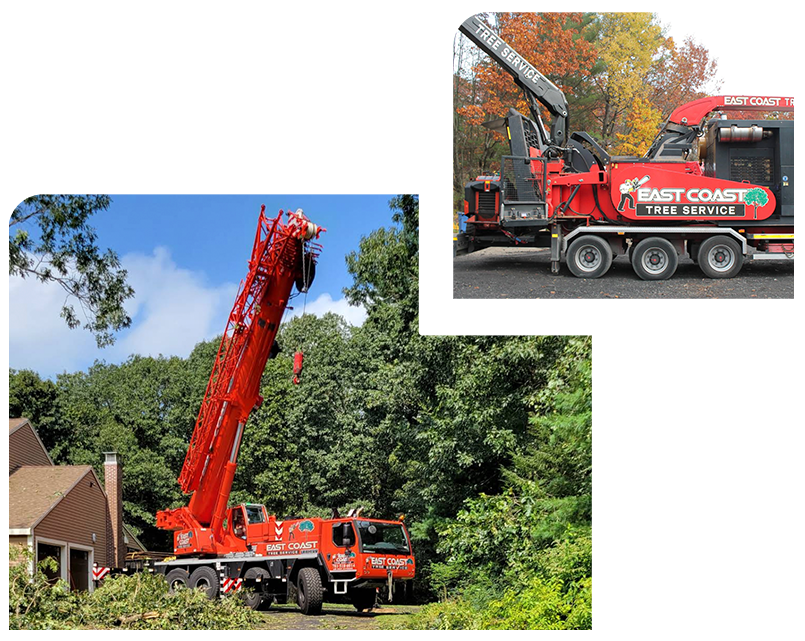 A red crane is sitting on top of a truck next to a house.