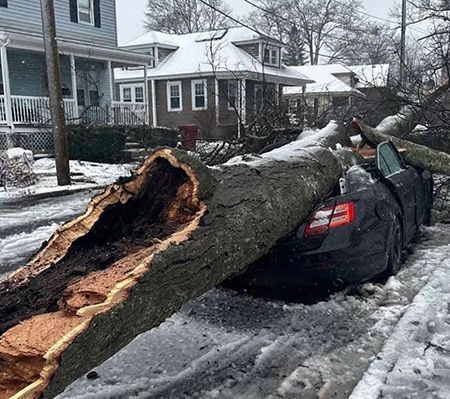 A large tree trunk lies across a dark car on a snowy street in front of houses.