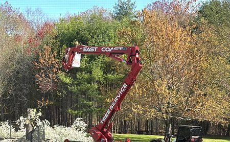 A crane is cutting a tree in the middle of a forest.