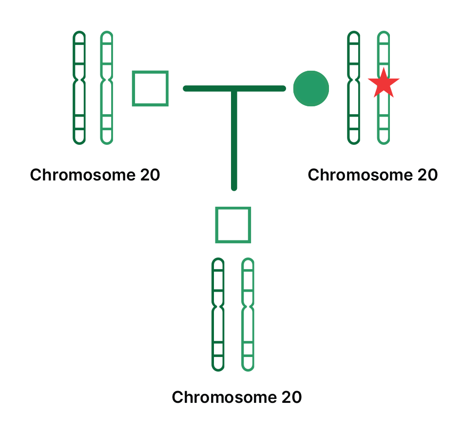 Pedigree showing inheritance of a genetic marker (red star) on chromosome 20, from affected mother to unaffected son.
