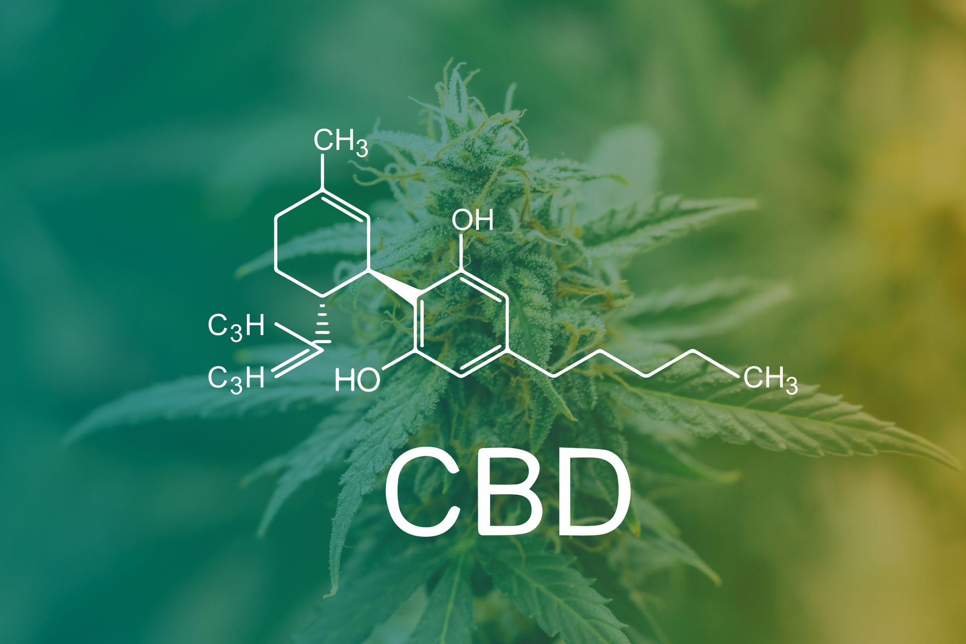 The chemical structure of cbd is shown on a green and yellow background.