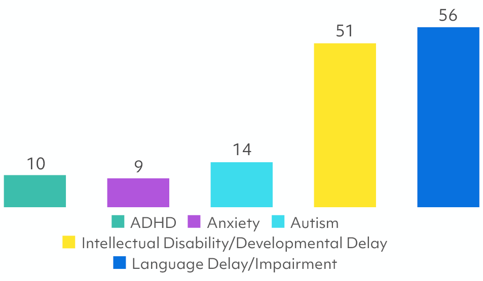 a graph showing the number of people with adhd, anxiety, autism, developmental delay, and language delay