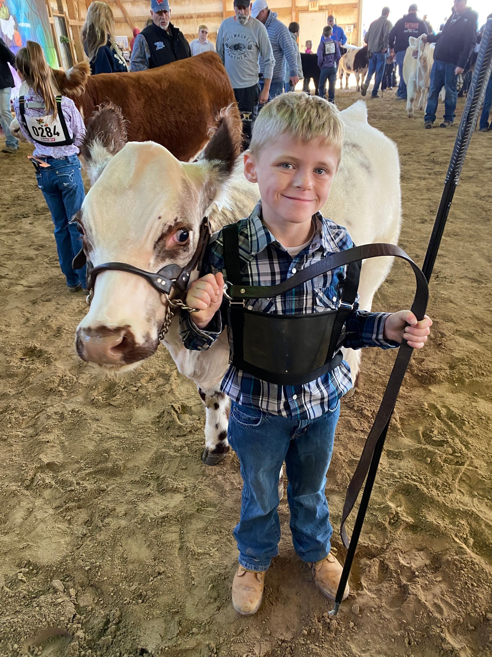 A young boy is standing next to a cow at a rodeo.