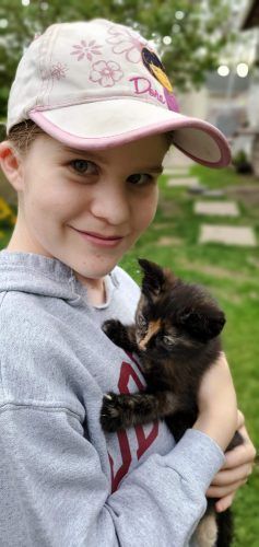 A little girl is holding a black kitten in her arms.