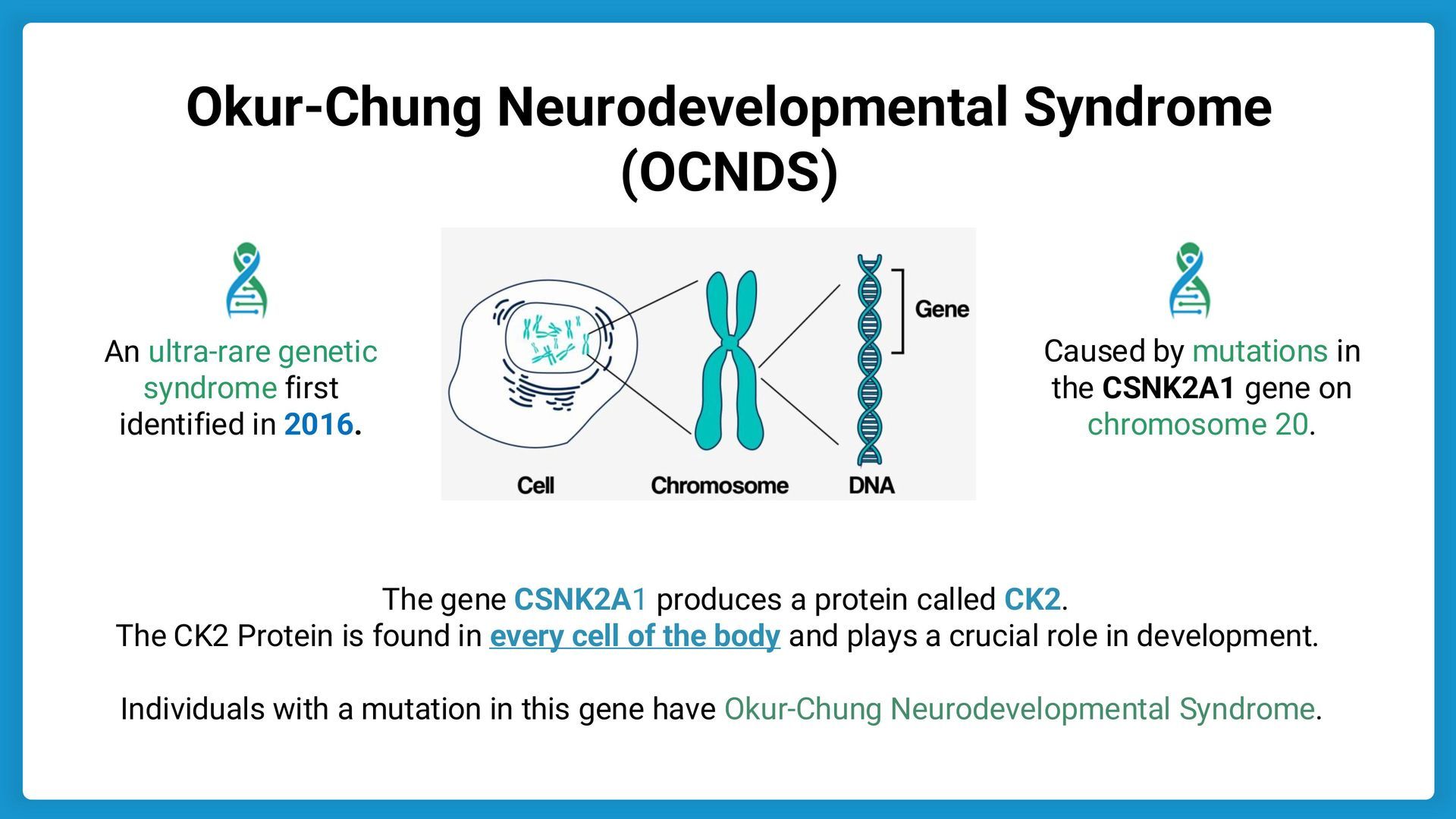 Infographic explaining Okur-Chung Neurodevelopmental Syndrome (OCNDS), a rare genetic condition caused by CSNK2A1 mutations.