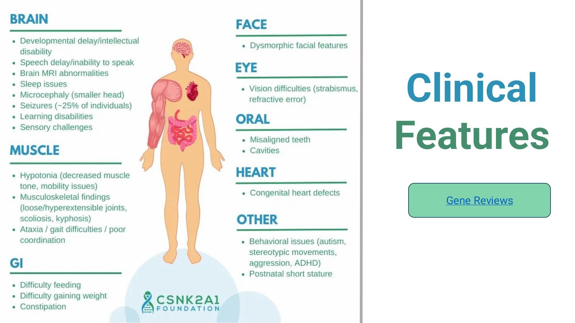 Infographic showing clinical features of a condition, with a human body diagram and text labels for various organs.