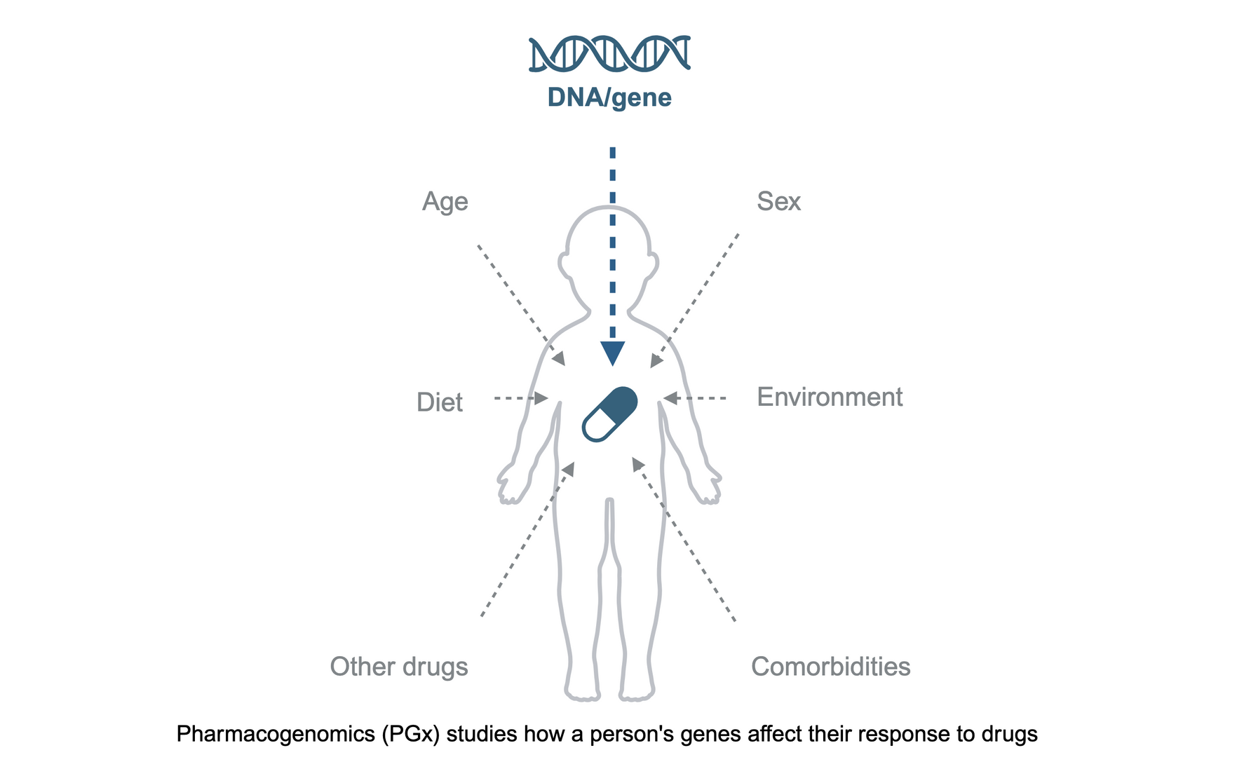 A diagram of a person with a pill in their chest.