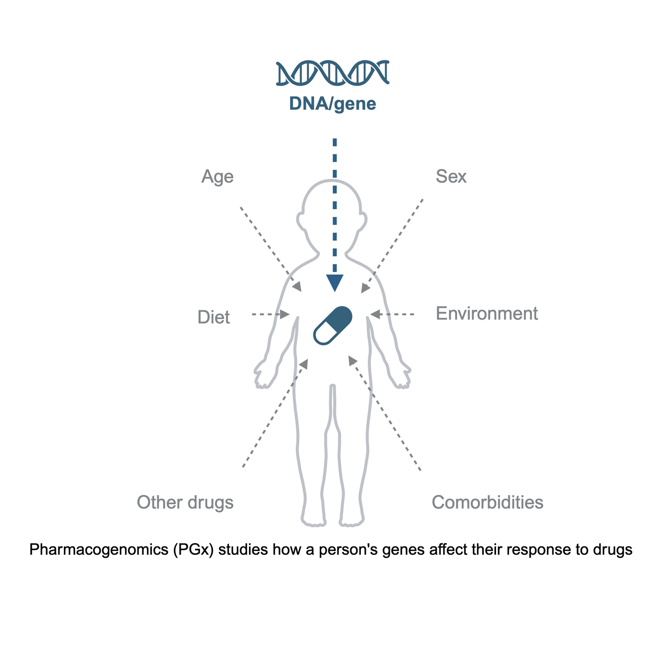 A diagram of a person 's genes and their response to drugs