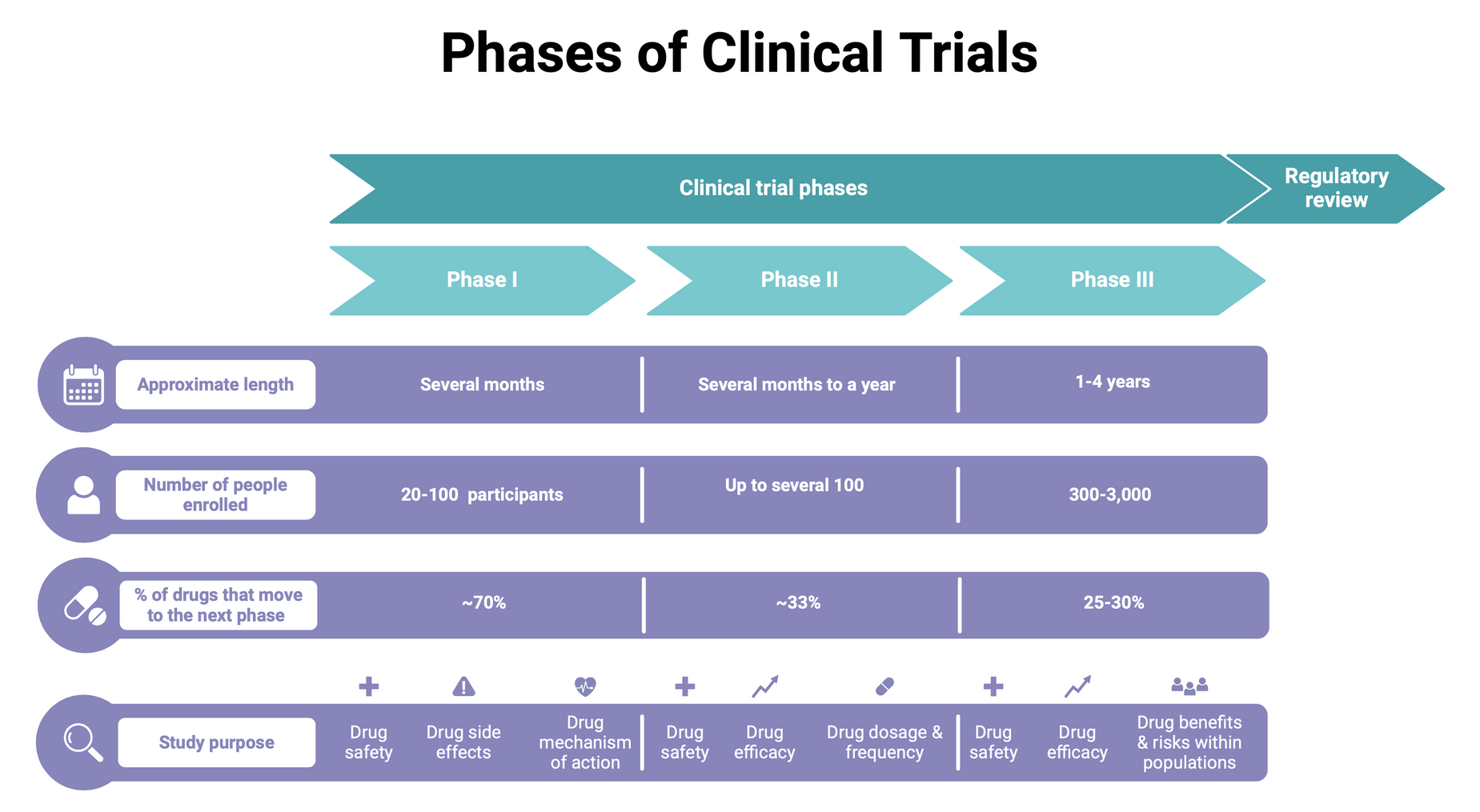 A diagram showing the phases of clinical trials.