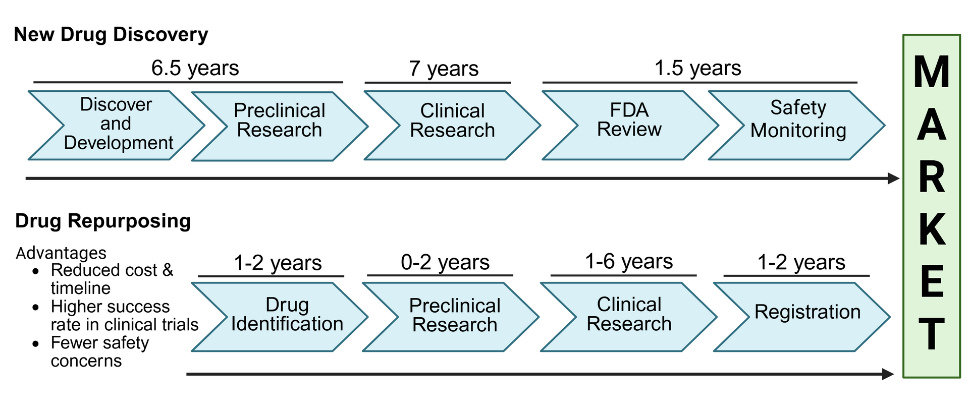 Diagram comparing drug discovery and repurposing timelines, showing stages and durations leading to market.