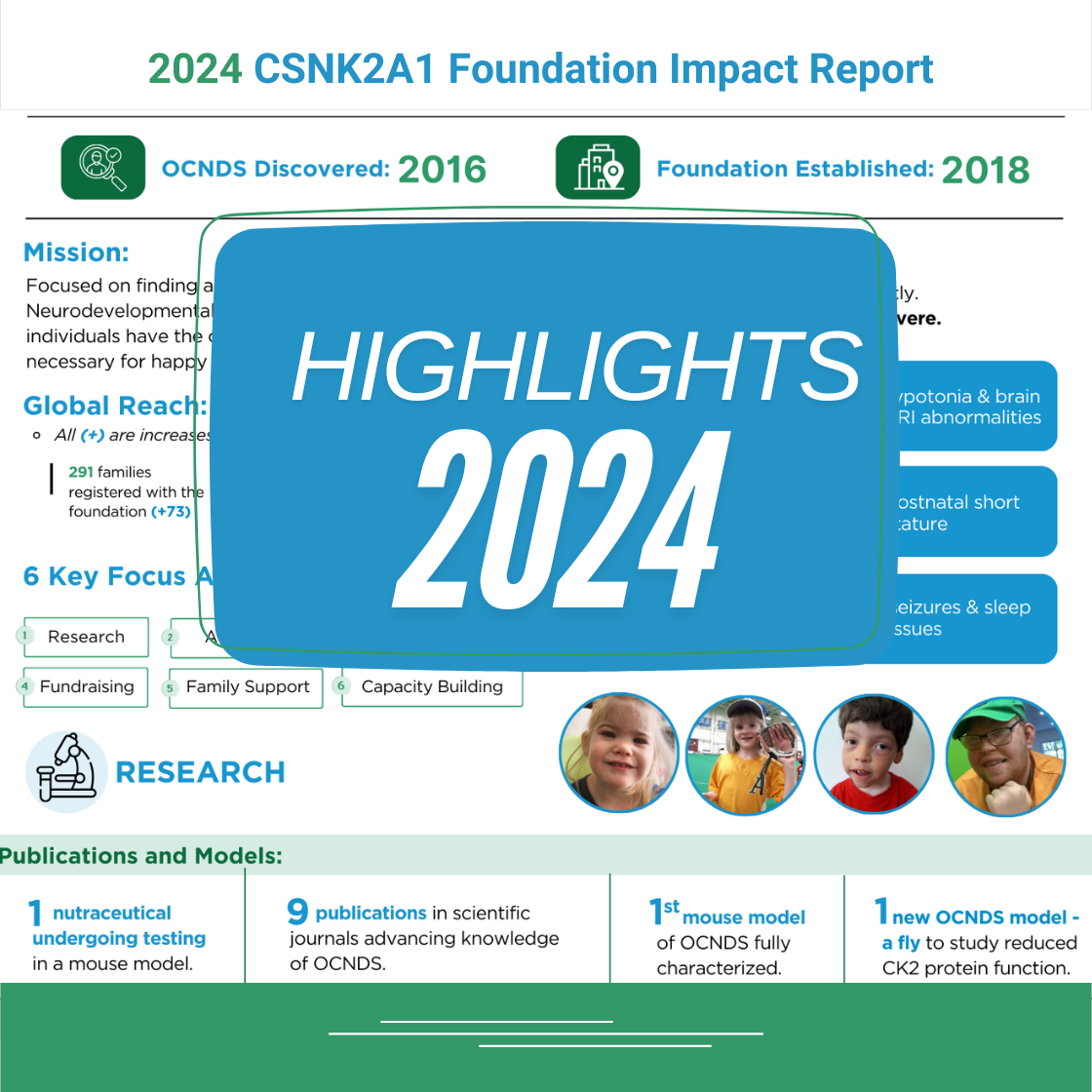 A screenshot of the 2024 csnk2a1 foundation impact report