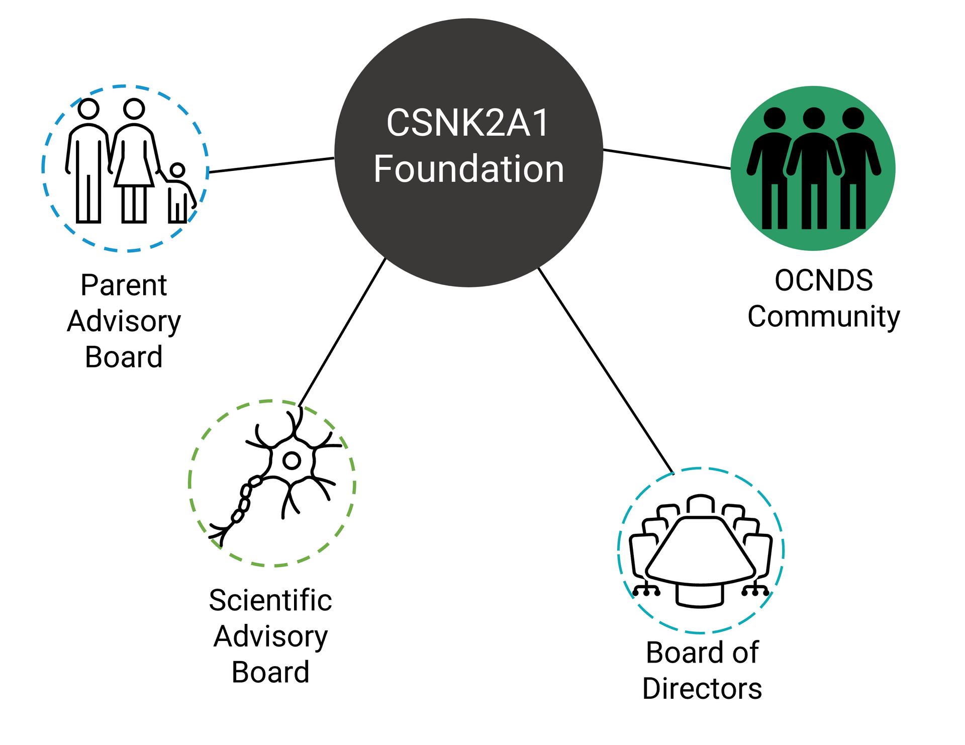 A diagram of the csnk2a1 foundation pillars includes a circle in the middle with the text CSNK2A1 Foundation and lines connecting to four other circles. One cycle has an icon of a family in it with the text Parent Advisory Board. Another line connects to another circle with a scientific icon with the text Scientific Advisory Board. Another line connects to another circle with a conference room table and chairs with the text Board of Directors. The last line connects to a circle with an icon of a group of people with text that reads OCNDS Community. 