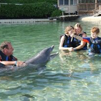 A group of people are playing with a dolphin in the water.