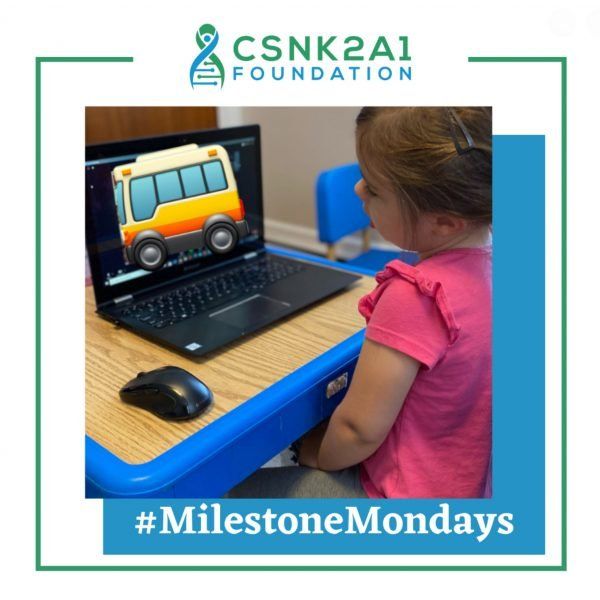 A little girl is sitting at a desk using a laptop computer