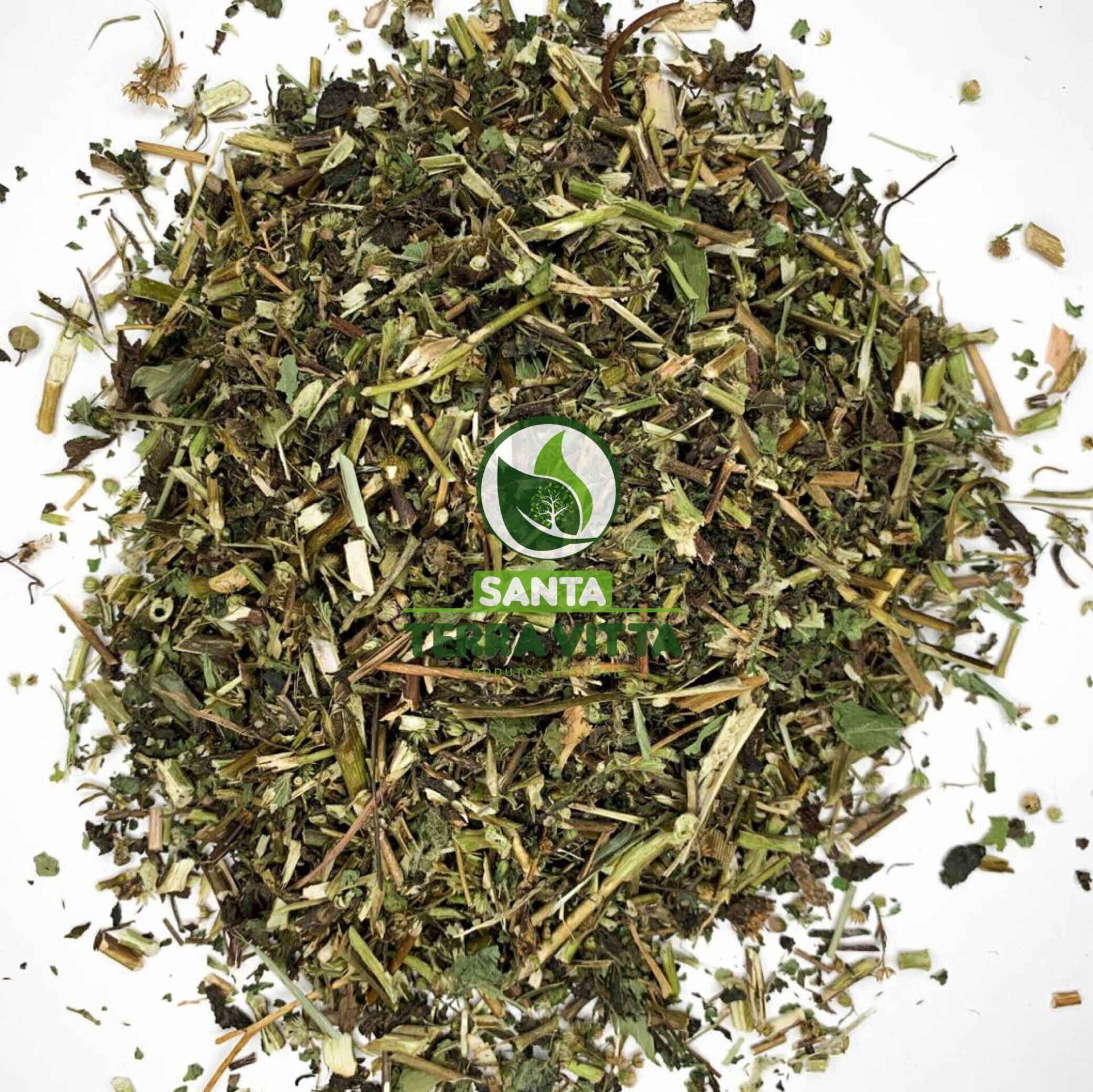 erva de sao joao planta medicinal erva de sao joao planta medicinal