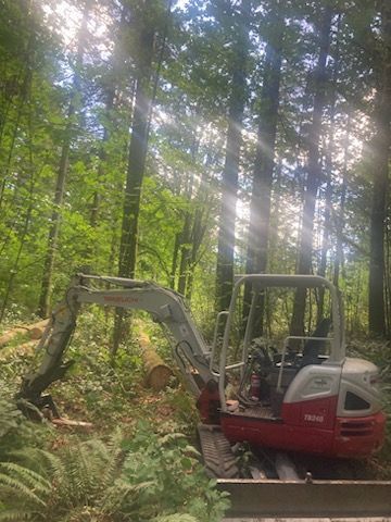 Side View Of Tree Service Equipment — Shelton, WA — Beko's Trees LLC & Wood Carving