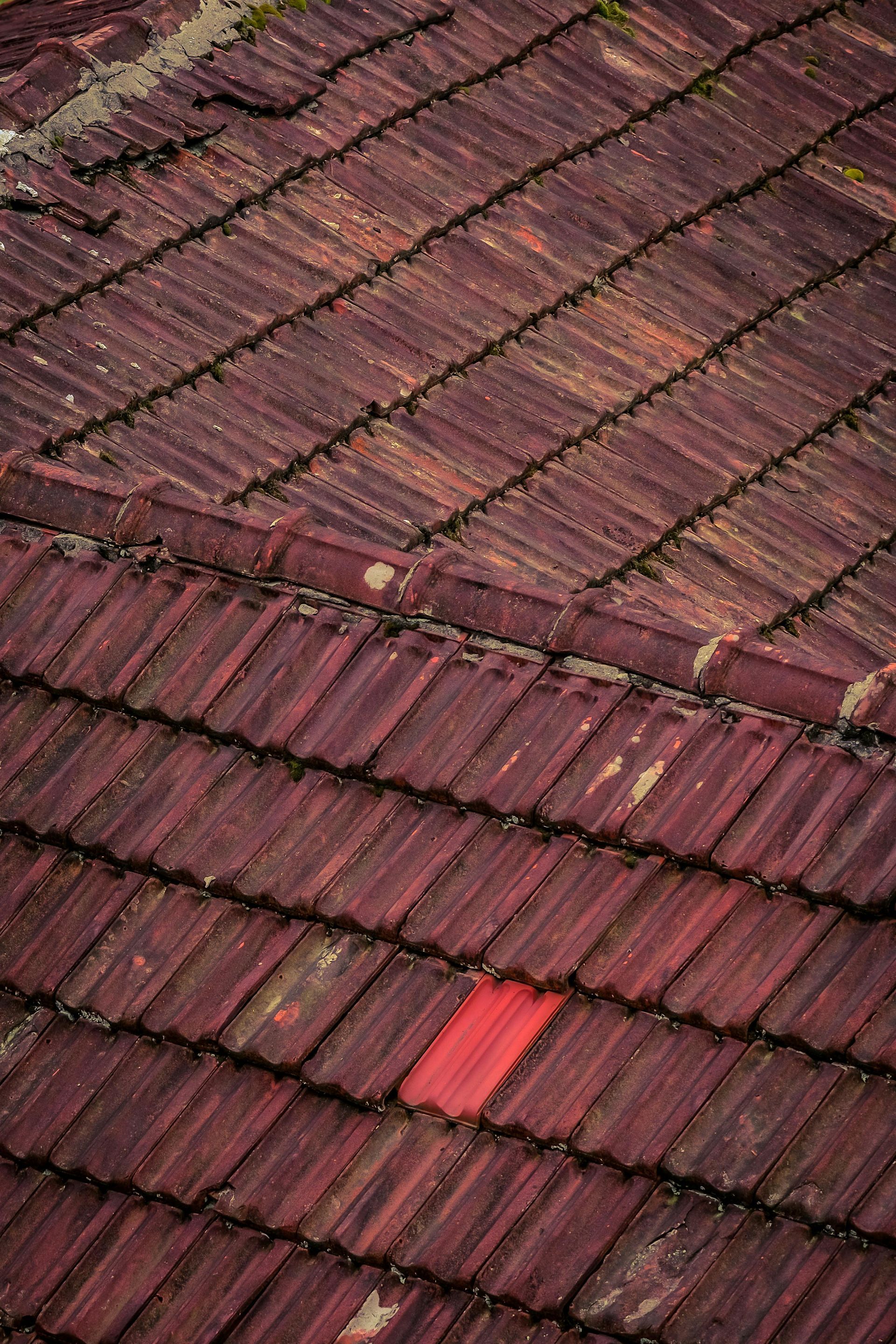 Red and brown tiled roof with one bright red tile.