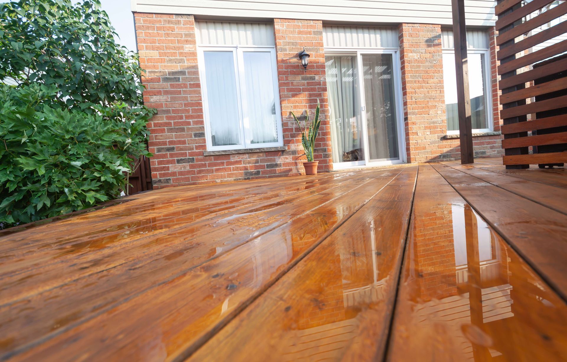 Deck staining service by Brushify Pro Finishes