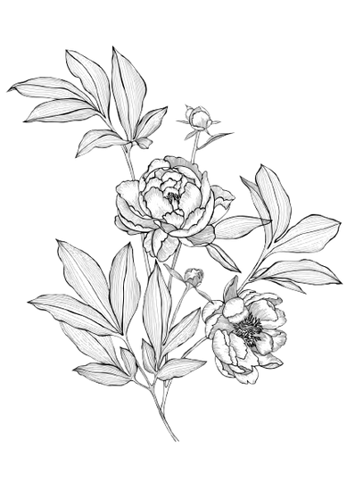 Un disegno in bianco e nero di fiori e foglie su uno sfondo bianco.
