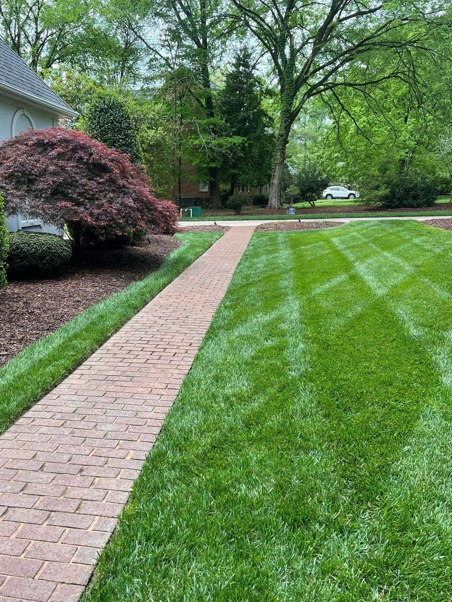 Brick pathway bordered by freshly mowed green grass and a weeping burgundy tree.