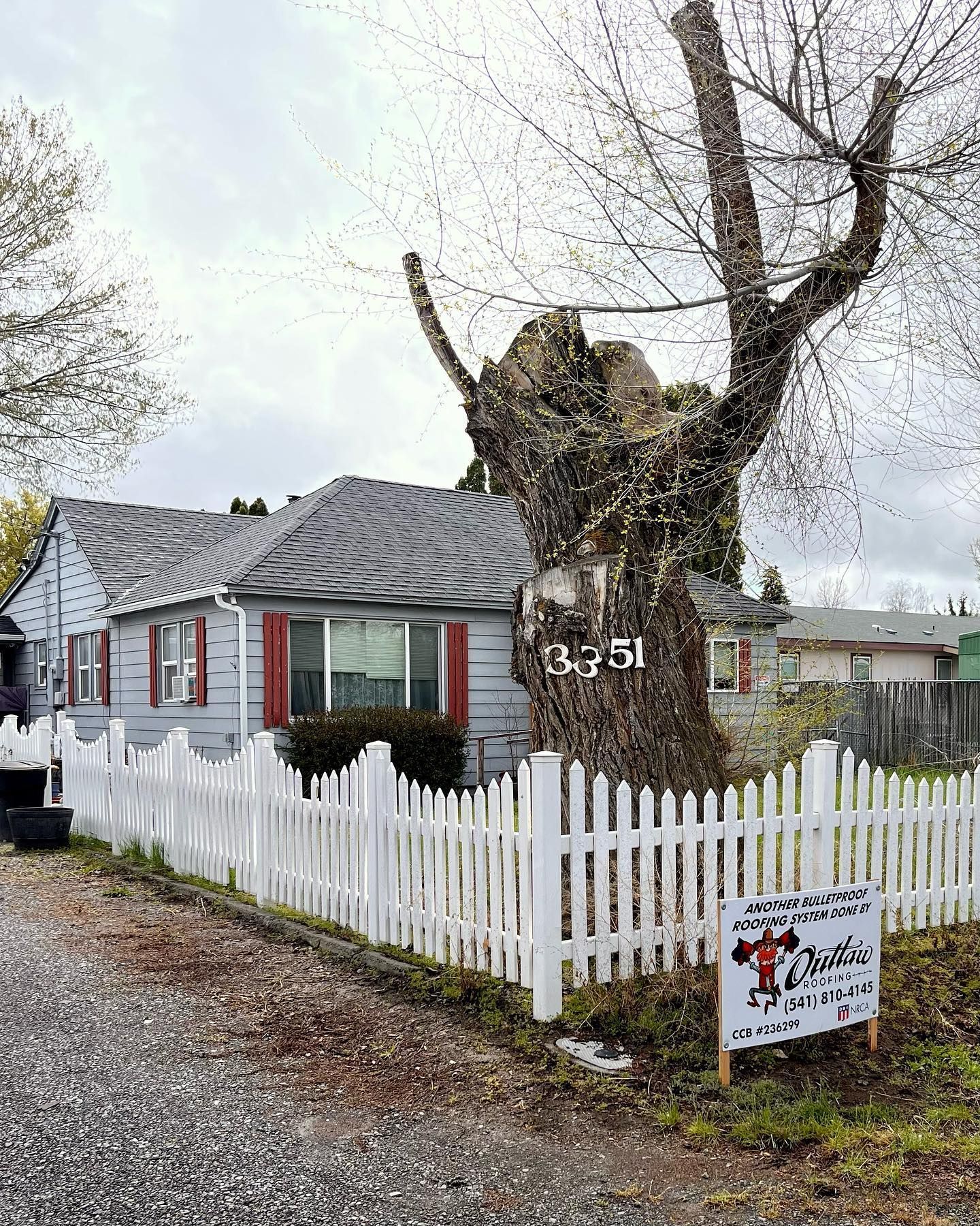 A white picket fence surrounds a tree in front of a house.
