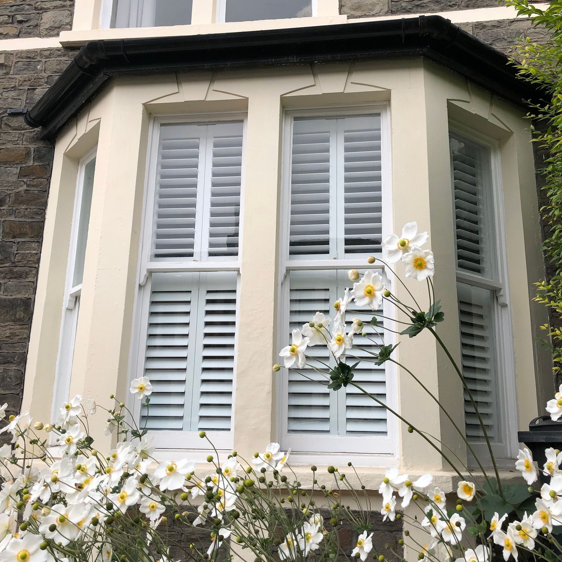 A window with white shutters and flowers in front of it